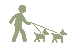 Services - Dog Walking